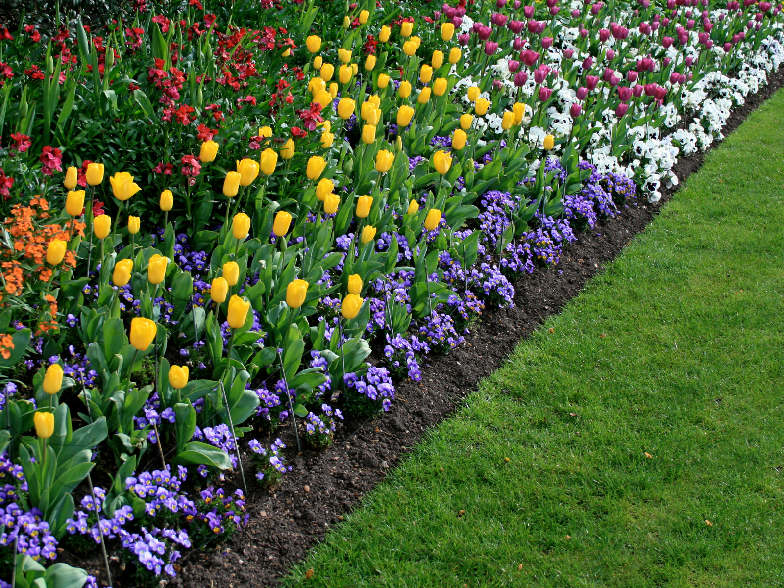Flower Beds