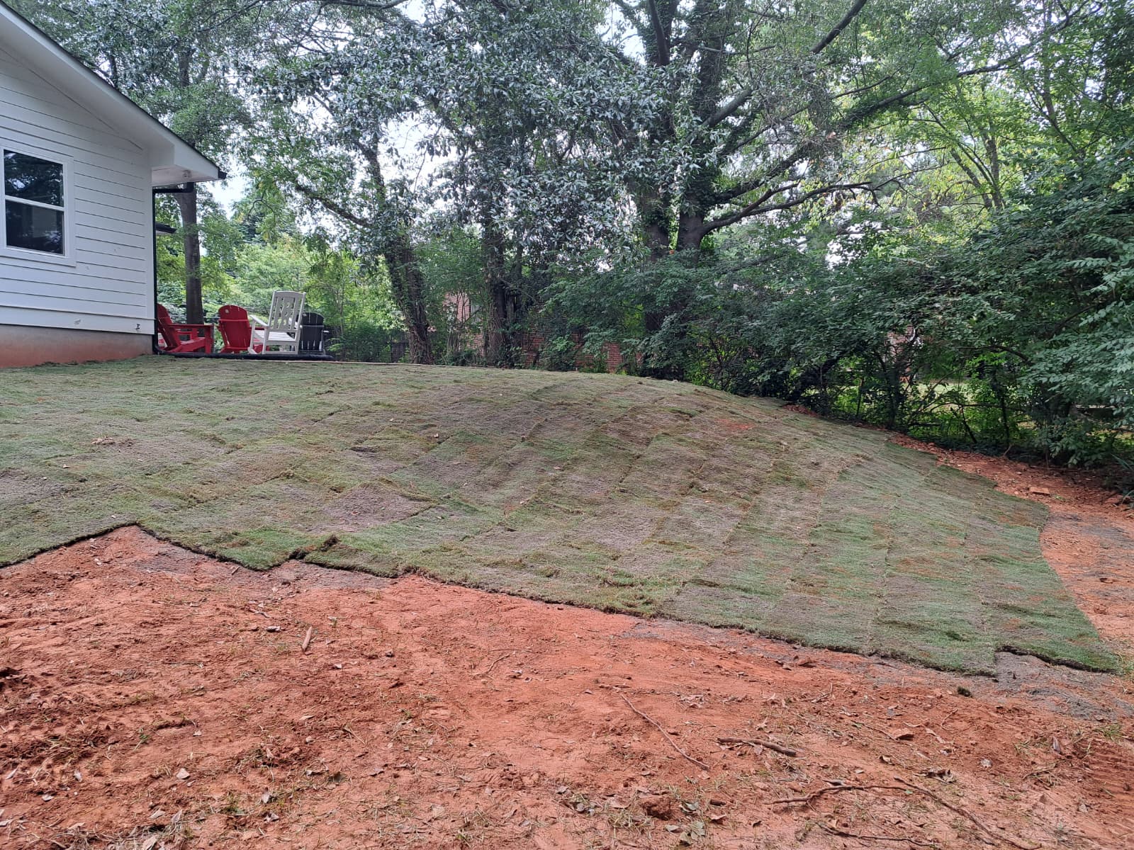 Sod Installation